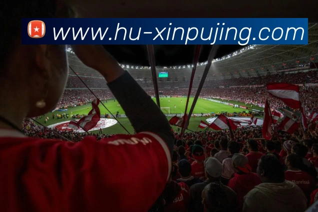 澳门新葡京娱乐APP 高清赛事图